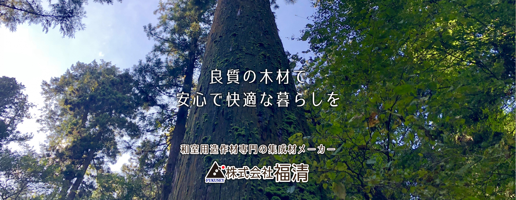 ������Е���